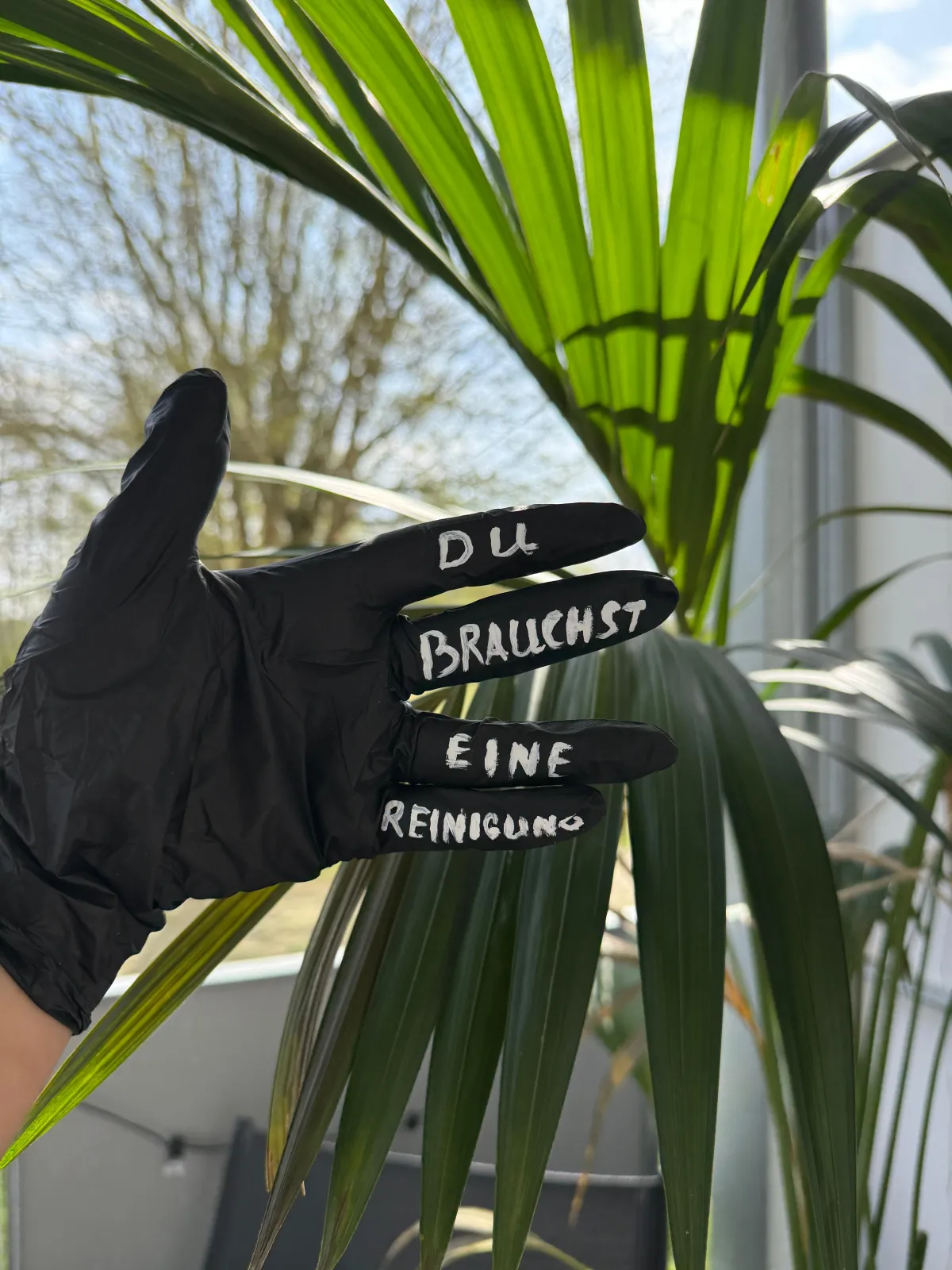 Wunschreinigung