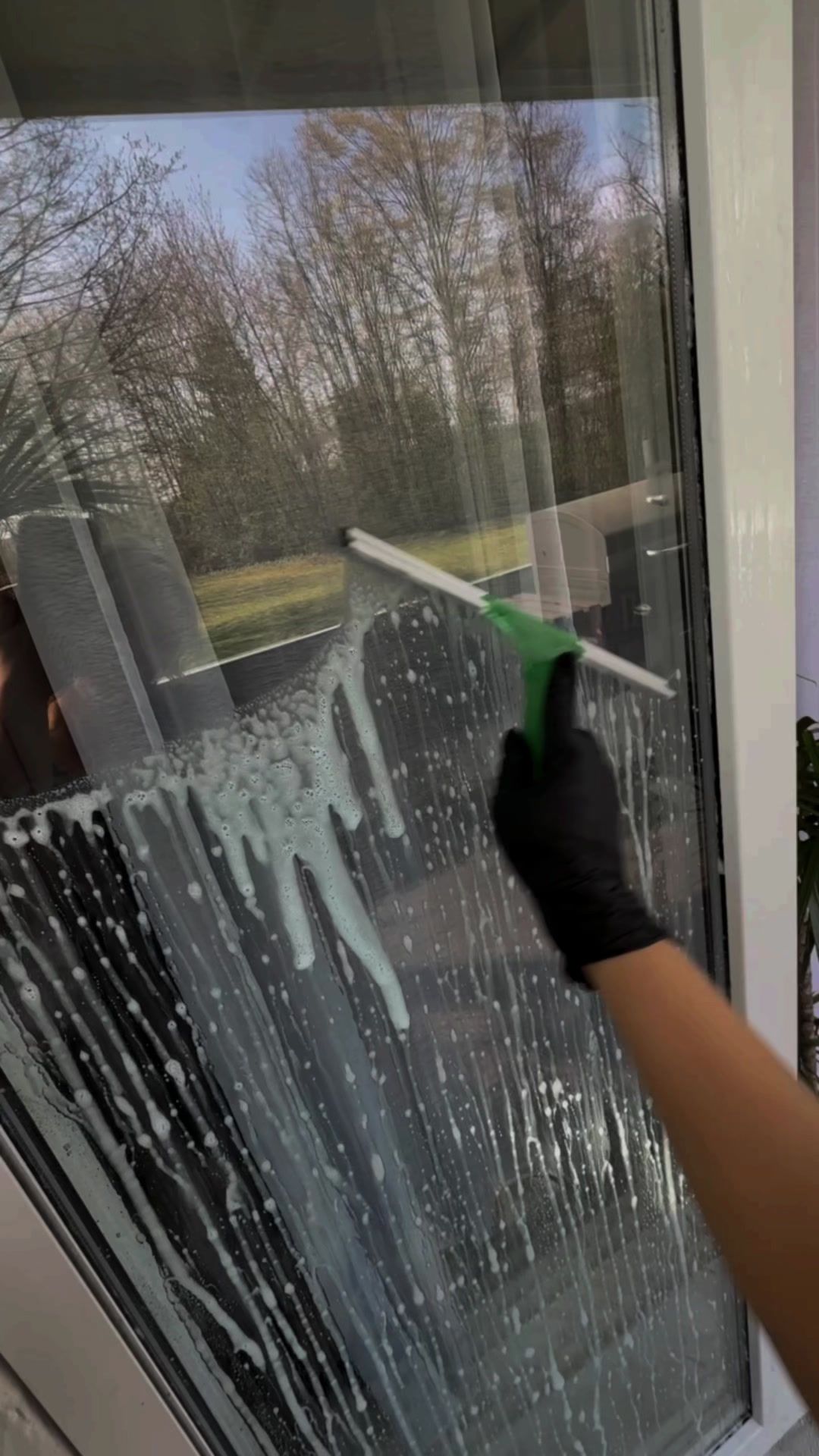 Fensterreinigung